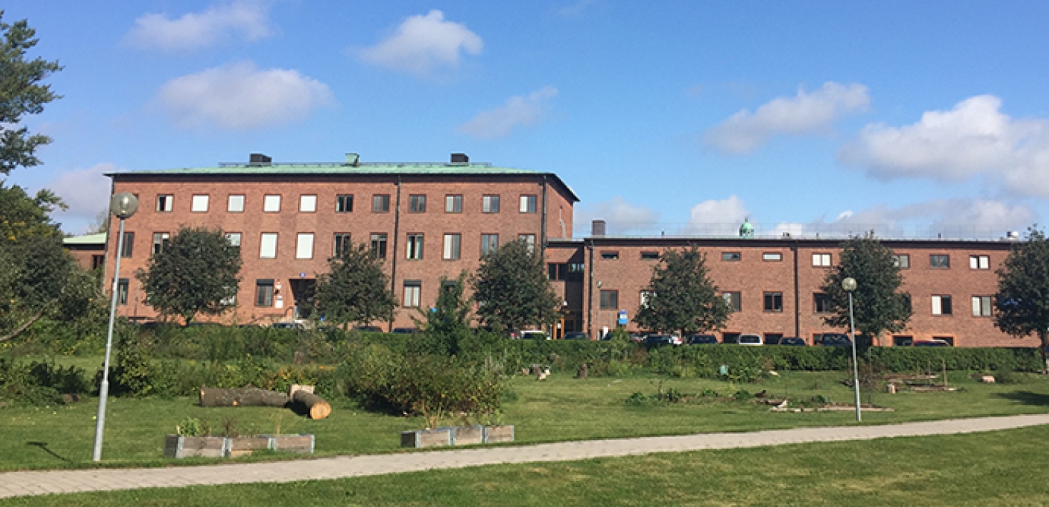The department is housed in three-storey brown brick buildings.