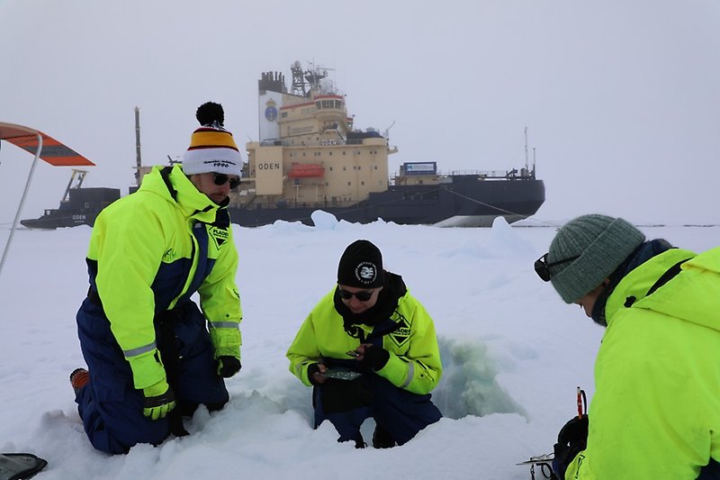 Bildtext: Albin Eriksson, Linnea Huusko (Stockholms universitet) och Susanna Hentschel (Göteborgs universitet) undersöker snöns egenskaper i en snögrop.
