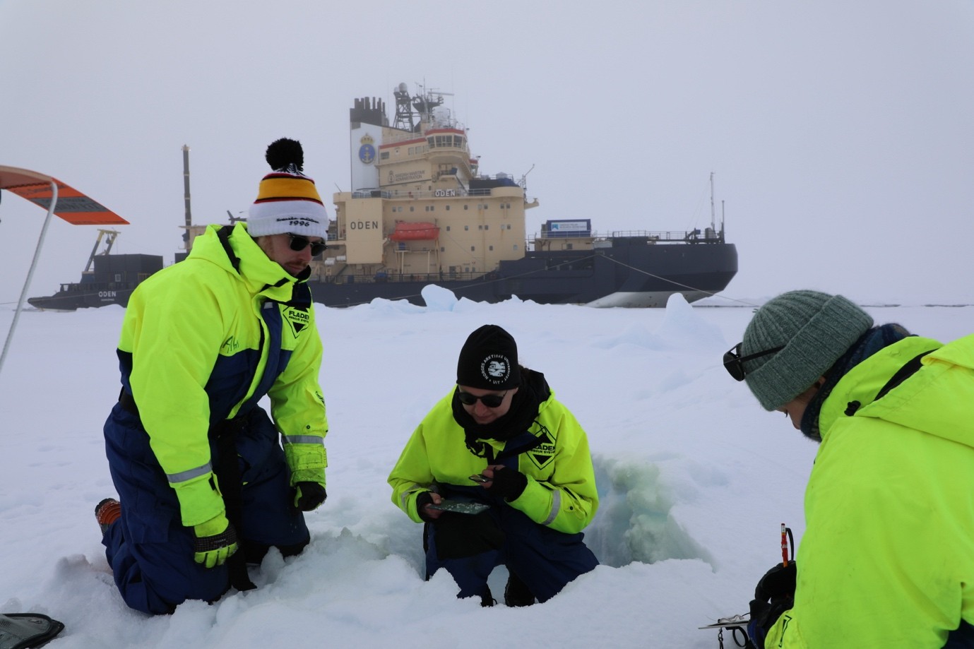 Caption: Albin Eriksson, Linnea Huusko (Stockholm University), and Susanna Hentschel (Gothenburg University) investigate the snow properties in a snow pit.
