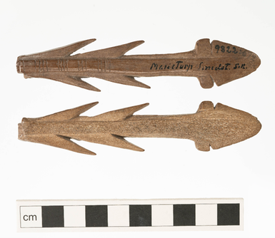 Exempel på ett av fotografierna inom projektet, föreställande en hornharpun från Skåne, 1324458_HST. Foto: Sara Gummesson