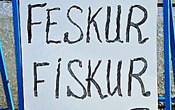 Feskur fiskur. Foto: Martin Pettersson