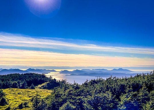 Prince of Wales Island, Alaska, USA.