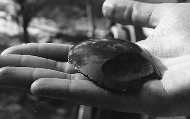 Stone scraper found in archaeological excavations.
