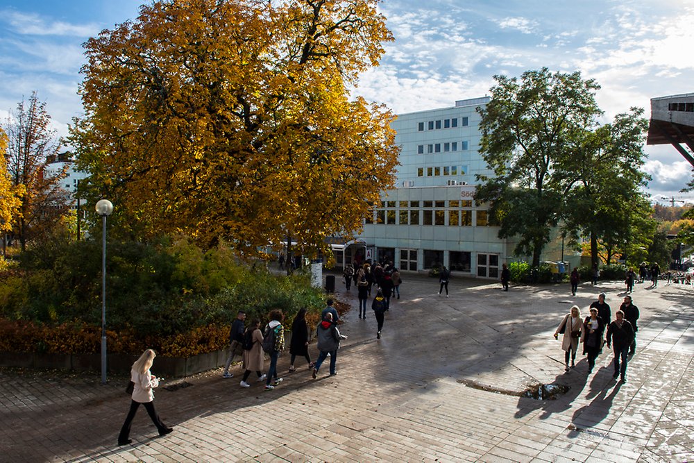 Studenter utanför Södra huset på hösten.