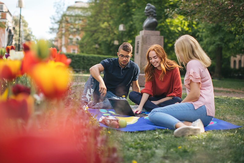 En grupp människor som sitter på en filt i en park. Foto: Niklas Björling