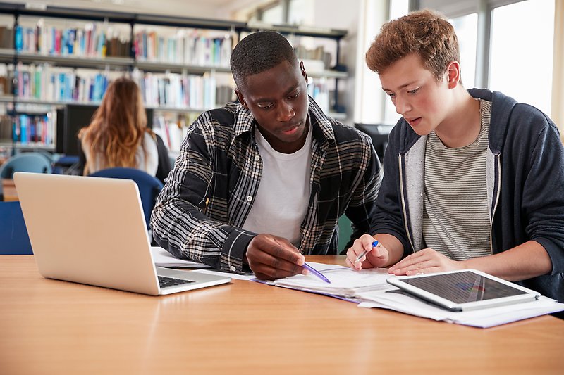 två studenter studerar