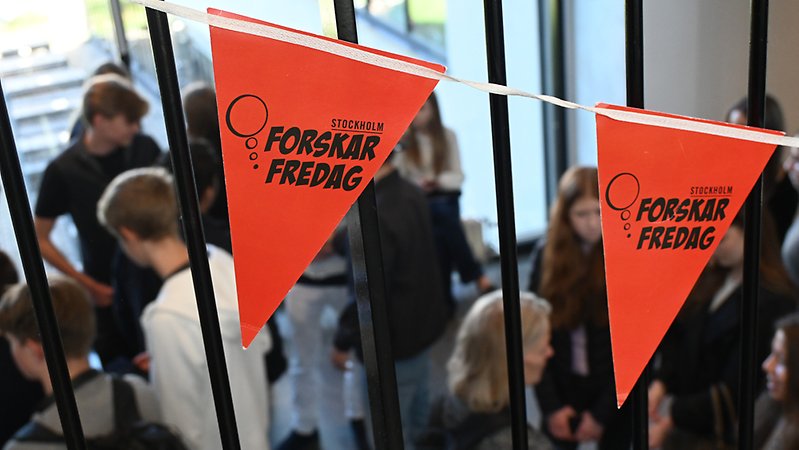 ForskarFredag är en del av vetenskapsfestivalen European Researchers’ Night and Researchers at schools . ForskarFredag i Stockholm arrangeras av Vetenskapens Hus tillsammans med SU, KTH, KI, Stockholms stad, Scania och AstraZeneca.