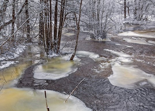 Foto: Lars Johansson/Mostphotos