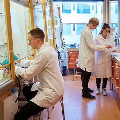 Students in the lab