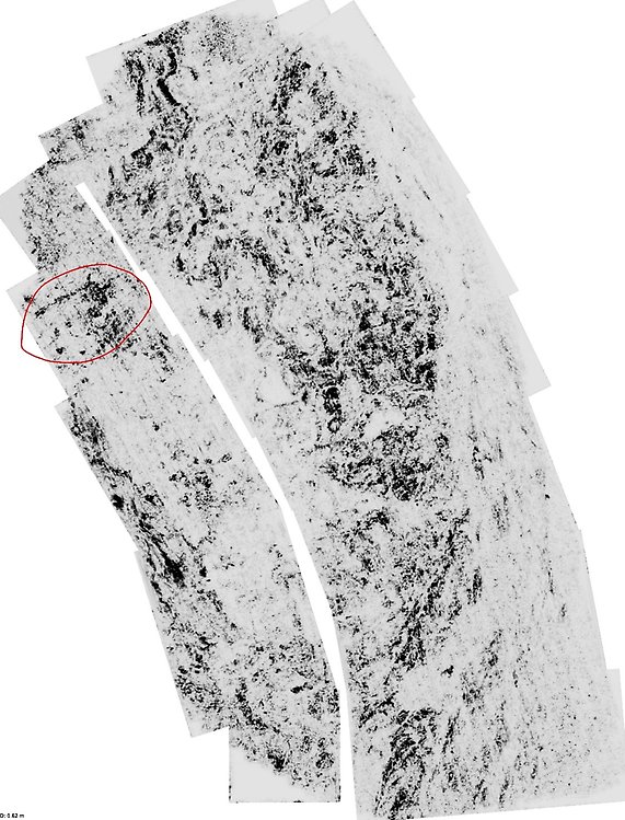 Figur 4. Georadarkarta motvarande cirka 0,6 meters djup, med en husliknande anomali i områdets nordvästa del markerad med en röd elips.
