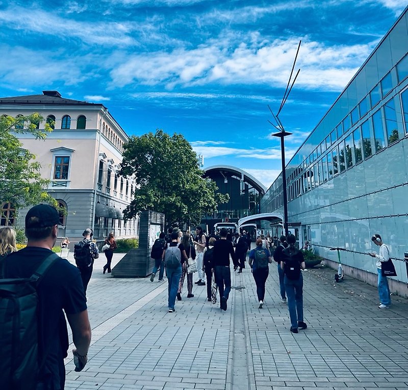 Students walking outside thhu university