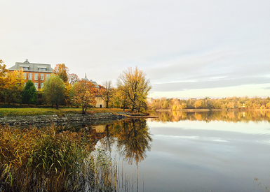 Park in the autumn, next to a lake.