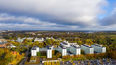 Ayşem Mert, an associate professor of political science will coordinate the project "Civic Co-Create Lab: Creative Tools for Democratic World-Making" at Stockholm University. Photo: Sören Andersson/Stockholm University © 2019