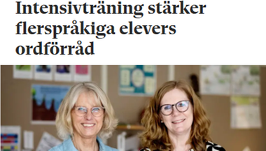 Skärmbild av artikeln.