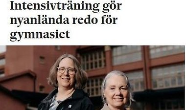 Skärmbild av artikeln.