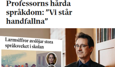 Skärmbild av artikeln.