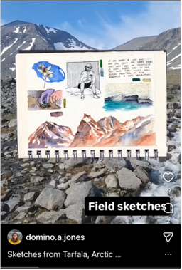 Screenshot of Instagram domino.a.jones illustrating the comic book Arctic Flowers of Tarfala Research Station