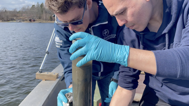 Forskarna Martijn Hermans och Alexis Fonseca plockar upp ett sedimentprov från en Östersjövik.