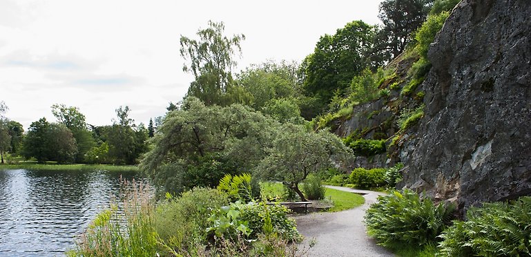 I sommar kan du ta en promenad längs evolutionsslingan. 