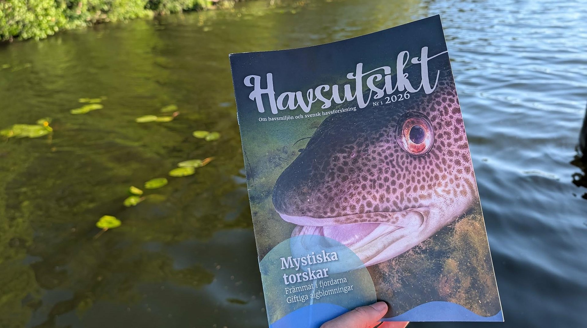 Sommarnumret av tidskriften Havsutsikt i förgrunden. Lugn vik i bakgrunden.