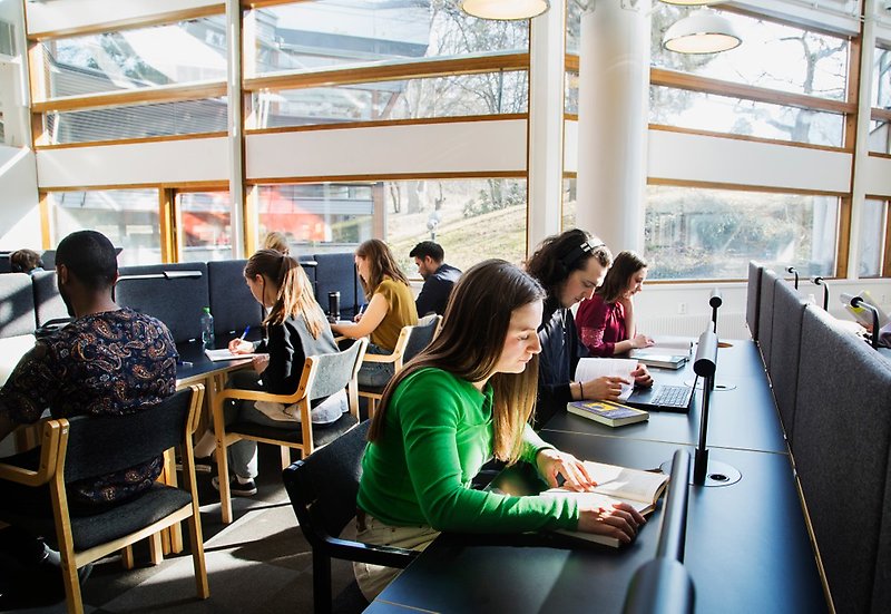 Students and visitors at the university library.