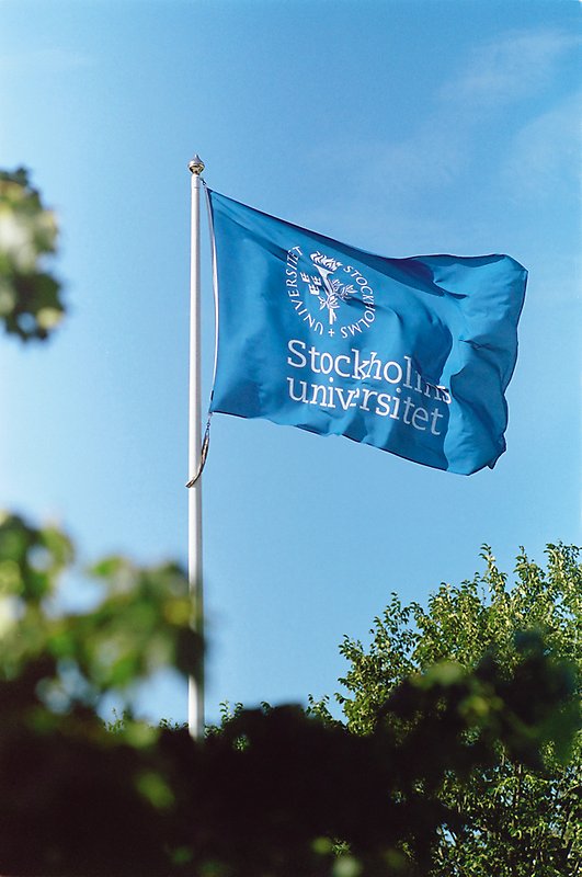 Universitetets flagga.