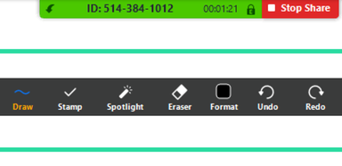 Zoom annotation toolbar