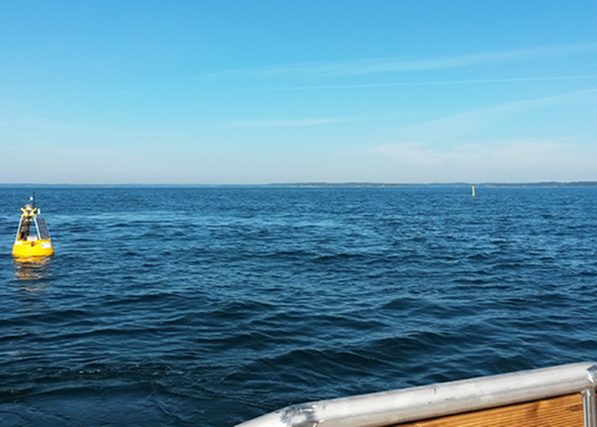 The buoy in the water