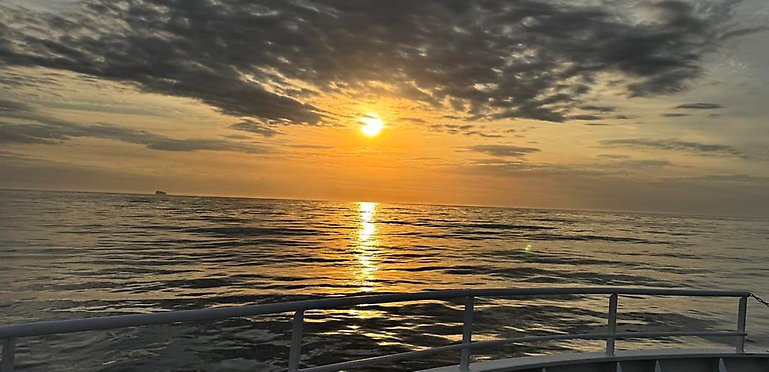Sunset over the Atlantic Ocean. Ship railing in the foreground.