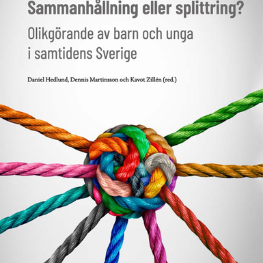 Detalj av omslaget till boken Sammahållning eller splittring. Knut av rep i olika färger