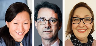 Maria Lim Falk, Tomas Riad, Helena Bani-Shoraka.