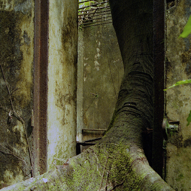 Ruin