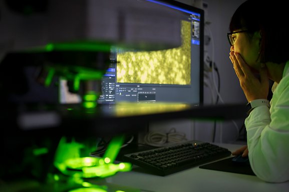 A woman wearing a labcoat and looking at a computer screen. In the front of the picture is a microscope.