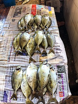 Rabbitfish in a food market