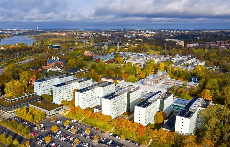 Drönarbild över Frescati.