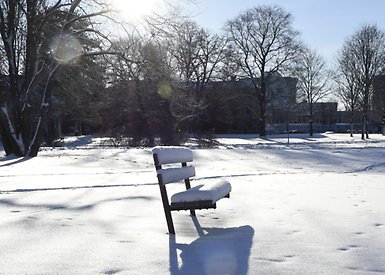 En utomhusbänk omgiven av ett snötäcke och solen som lyser.