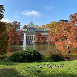 Birds, a little lake and a fountain, Palacio de Cristal in Madrid in the background.