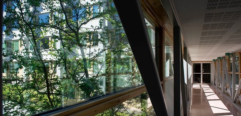 To the left is a concrete building behind branches and to the right is a corridor with a door at the end.
