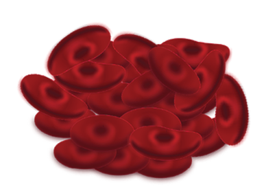 Blodkroppar