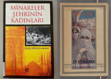 Bokomslagen till Minareler och Ett uppvaknande.