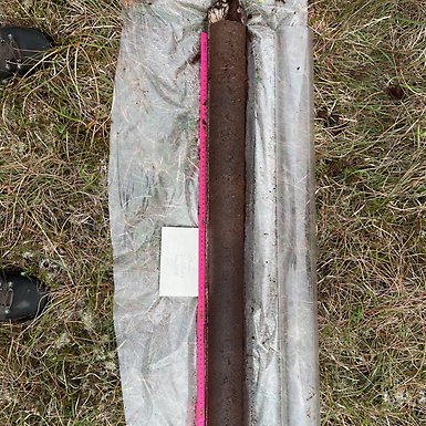 Sample of peat