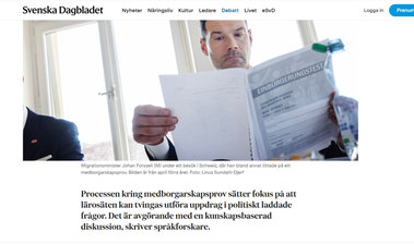 Skärmdump av SvD-artikeln.