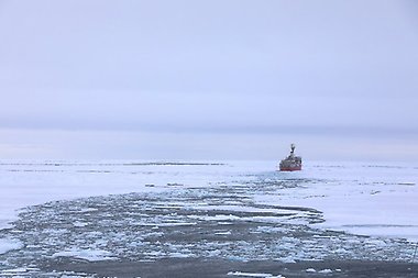 Bild: Isbrytaren Louis S. St. Laurent går före Oden när de rör sig norrut genom den arktiska havsisen.