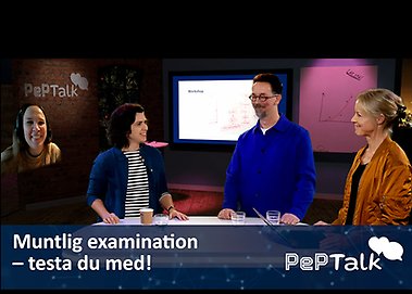 Deltagare i programmet