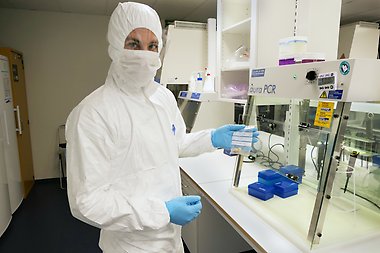 Ricardo Varela in the lab with a tissue sample in his hands