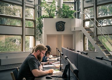 Several students studying in the Bergdahl Room in Frescati Library. Photo Karl Edqvist
