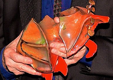 Guldbagge.