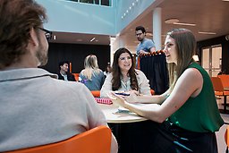 Studenter studerar i Albano.