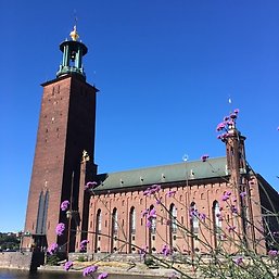 Stockholm City Hall, with its spire featuring the golden Three Crown. Photo: Per Larsson.