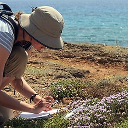 Field work at Navarino Environmental Observatory.